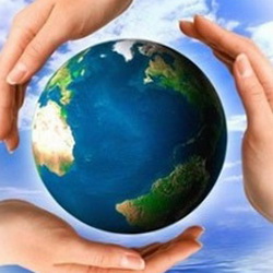 5 июня в России отмечается День эколога