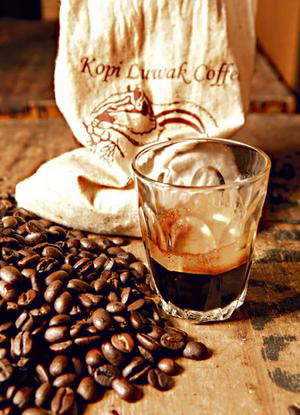 Главным производителем элитного индонезийского кофе является хищный зверек